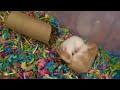2 minutes of cute Hamsters