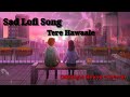 Tere Hawaale|| Romantic lofi song |Lofi tere Hawaale| #lofi
