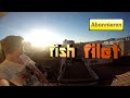 ein nicer Tag - Kameratest | fish filet