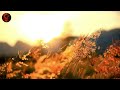 Tranquil Guitar Music Playlist: Relaxing BGM for Peaceful Sleep