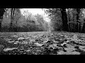 come with me... | Playlist to listen to while just thinking (with rain)