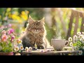 Morning Coffee Jazz   Soothing Jazz Instrumental Music & Relaxing Bossa Nova Music for Stress Relief