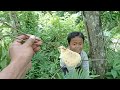 Bocah nekat..!! mengambil lebah hutan untuk umpan mancing