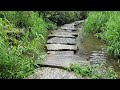 The sound of quiet river water flowing over a stone bridge filled with green grass ASMR