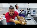 CAT ATTACK AT VET! Tiger Cub Tries to Claw Me! ( cat attack ) #TheVet