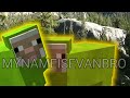 Minecraft Sheep Meme