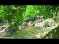 10 Hours Relaxing Waterfall, Nature Sounds Calming, Birdsong, Relaxing Water Forest Sounds, ASRM