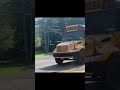 Bus Spotting - Buses in Action (6/4/2024)