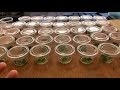 How to Propagate Java Moss!!! | Tissue Culture Java Moss Experiment!!!