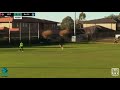 Kangaroo invades field at Australian soccer match