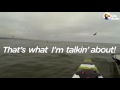 HUGE Whale Surprises Guy on Kayak | The Dodo
