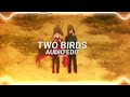 two birds - regina spektor (edit audio)