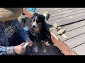 Building A Floating Deck | with Composite Decking