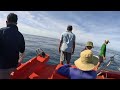 Bao vây bầy cá ngừ ngày đầu tiên của chuyến biển và cái kết| Đánh cá 2024 Tập49 | Sóng biển Hứa Đông