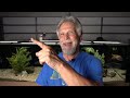 My 5 Tips for *PEACE* in a BIG CICHLID TANK!