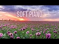 Positive Piano Music To Recharge Energy, Soft Music for Relaxation