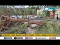 Uprooted trees behind Campal Indoor Stadium Remain Uncleared