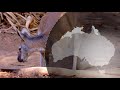 Wildlife | Episode 3: Kangaroos - Kings of the Outback | Free Documentary Nature