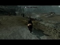 The Elder Scrolls V: Skyrim Wild Horses :D