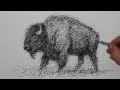 How to Draw a Bison | Awesome Pen & Ink Drawing