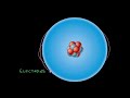 Atoms & Molecules   Part 1