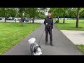 Train ANY Dog to Walk on a Loose Leash (Stop Leash Pulling)