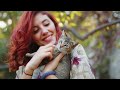 How Cats Pick Their FAVORITE Human - Will It Be YOU?