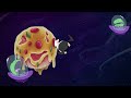 THE DEATH THAT I DESERVIOLI | Pizza Tower Animation