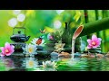 Peaceful Piano Music, Relaxing Sleep Music, Stress Relief Music, Studying Music