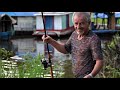 Zierfische(r) am Rio Negro 1 | Skalare angeln in Manaus | Abenteuerreise im Urwald Brasiliens | 4K