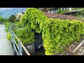 Brienz Switzerland 4K - The most beautiful villages in Switzerland - fairytale village