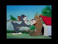 Tom & Jerry em Português | Brasil | O Melhor dos Gatos! 😻 | Mês dos Animais | @WBKidsBrasil​