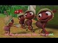 The Ants Go Marching | CoComelon Nursery Rhymes & Kids Songs