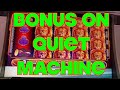 **MEGA BIG WIN!!!** MANY MAX BET BONUSES ON KING OF AFRICA WMS SLOT MACHINE