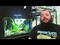 Growth And Care for an AMAZON SWORD Beginner plant and propagating