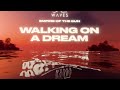 Empire Of The Sun - Walking On A Dream (WAVES REMIX)