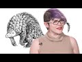 Pangolins are the Cutest Animals You’ve Never Heard Of