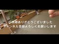 マイカーでサファリ【姫路セントラルパーク】vlog