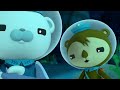 Octonauts - The Hammerhead Sharks | Cartoons for Kids | Underwater Sea Education