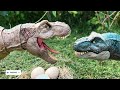 REXY'S ADVENTURE🦖T- rex VS Indominus VS Giganotosaurus| Jurassic World