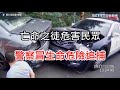 玩命關頭真實版！台南警察飛車追逐　嫌狂逆向罔顧人命｜三立新聞網SETN.com