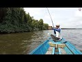 The first throw was immediately struck by a Barramundi fish #Bamboo rod fishing