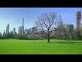 2021 LG NanoCell l Central Park 4K