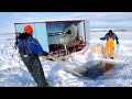 Amazing Ice Fishing - Fishing in Frozen Lake - Net Fishing skill in winter