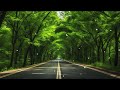 Celtic Music Morning Relaxing Music, Piano Music, Positive Music, Study Music
