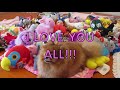 I Surprised my Tiny Pomeranian with 200 TOYS!!! (cute reaction)