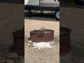 Mister the Cat lays in the Texas hot sun