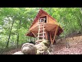 Built a tree house in the forest. Big movie. From start to finish