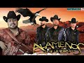 Popurri Los Alameños - Las Mas Chingonas Pa'Bailar MIX - Corridos y Cumbias Sierreñas