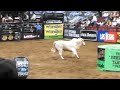 Pbr louisville